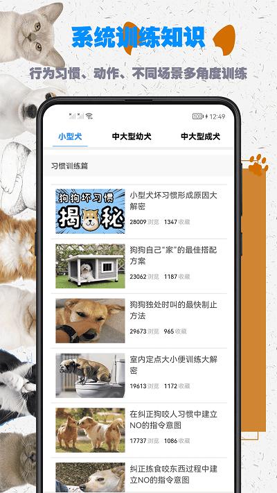 训狗教程大全app下载,训狗教程大全,训狗app,服务app
