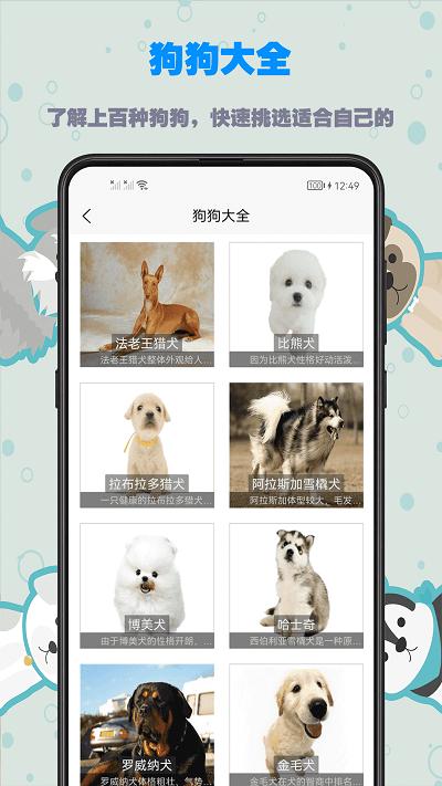 训狗教程大全app下载,训狗教程大全,训狗app,服务app