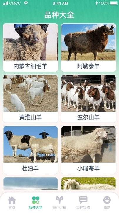 养羊指南app手机版下载,养羊指南,养殖app